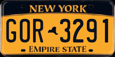 NY license plate GOR3291