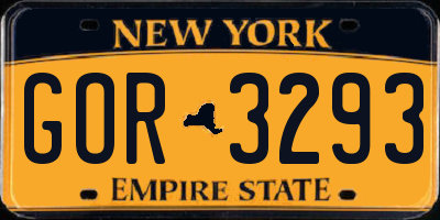 NY license plate GOR3293