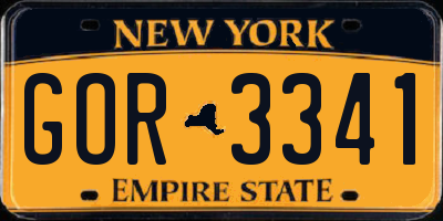 NY license plate GOR3341