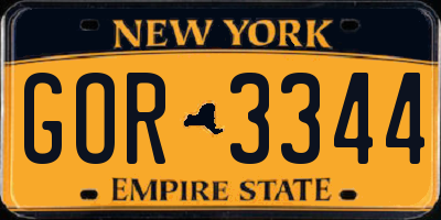 NY license plate GOR3344