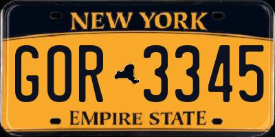 NY license plate GOR3345