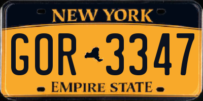 NY license plate GOR3347