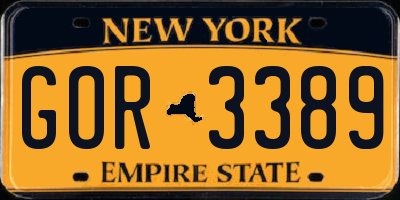 NY license plate GOR3389