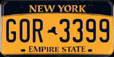 NY license plate GOR3399