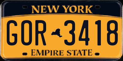NY license plate GOR3418