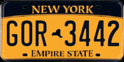 NY license plate GOR3442