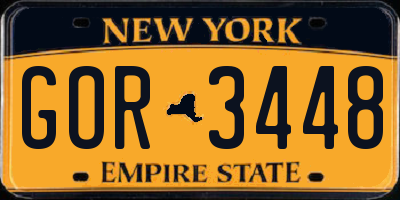 NY license plate GOR3448