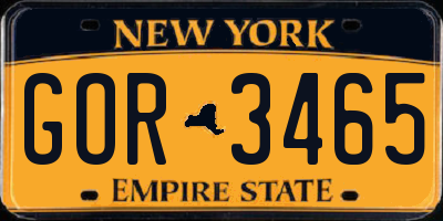 NY license plate GOR3465