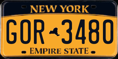 NY license plate GOR3480