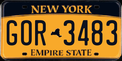 NY license plate GOR3483