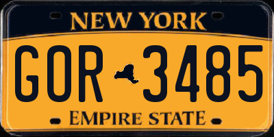 NY license plate GOR3485