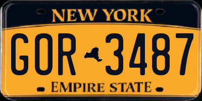 NY license plate GOR3487