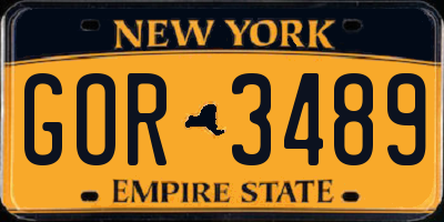 NY license plate GOR3489