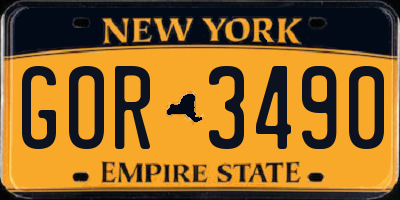 NY license plate GOR3490
