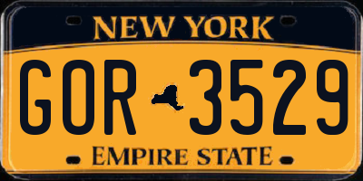 NY license plate GOR3529