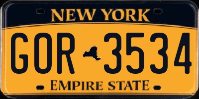 NY license plate GOR3534