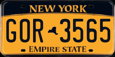 NY license plate GOR3565