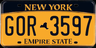 NY license plate GOR3597