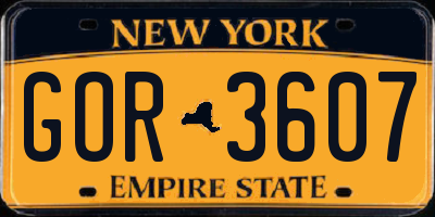 NY license plate GOR3607