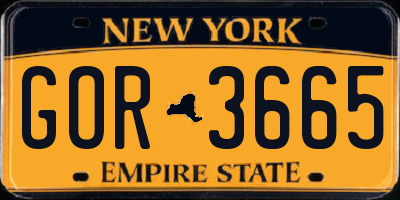 NY license plate GOR3665