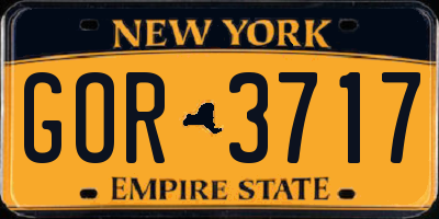 NY license plate GOR3717