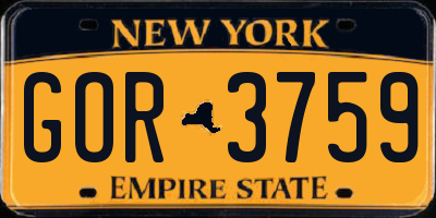NY license plate GOR3759