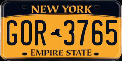 NY license plate GOR3765