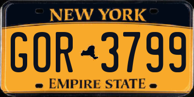 NY license plate GOR3799
