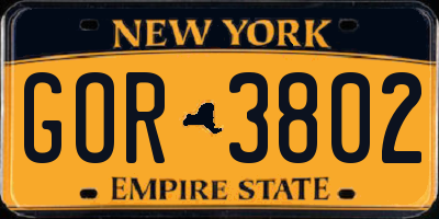 NY license plate GOR3802