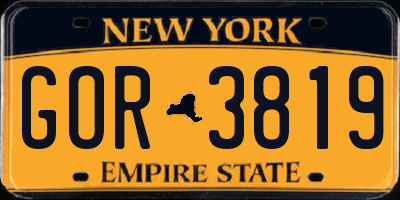 NY license plate GOR3819