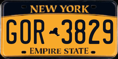 NY license plate GOR3829