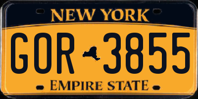 NY license plate GOR3855