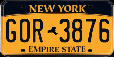 NY license plate GOR3876