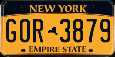 NY license plate GOR3879