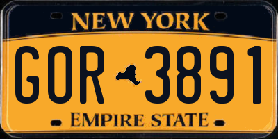 NY license plate GOR3891