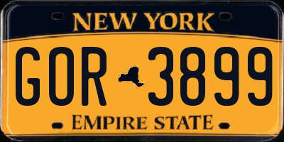 NY license plate GOR3899