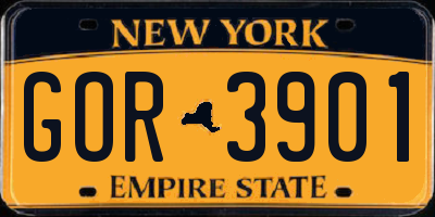 NY license plate GOR3901