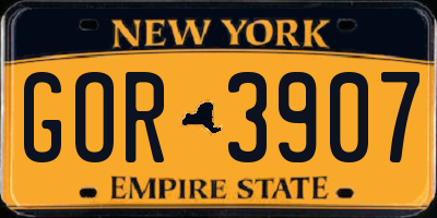 NY license plate GOR3907