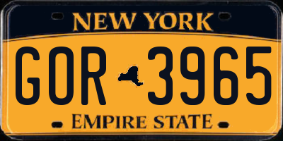 NY license plate GOR3965