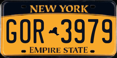 NY license plate GOR3979