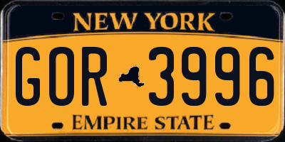 NY license plate GOR3996