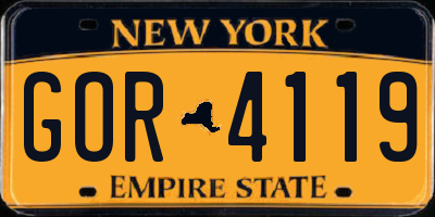 NY license plate GOR4119
