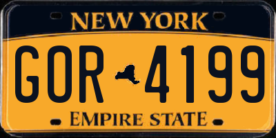 NY license plate GOR4199