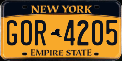 NY license plate GOR4205