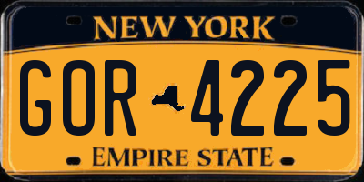 NY license plate GOR4225