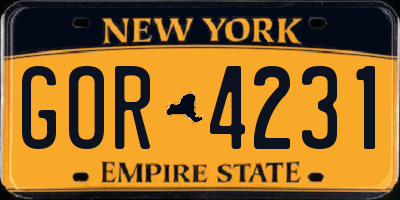 NY license plate GOR4231