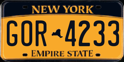 NY license plate GOR4233