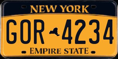 NY license plate GOR4234