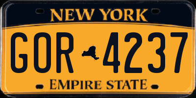 NY license plate GOR4237
