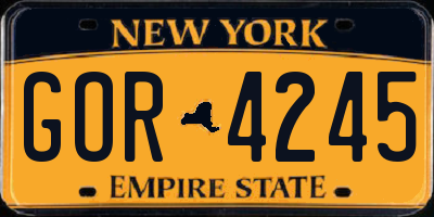 NY license plate GOR4245